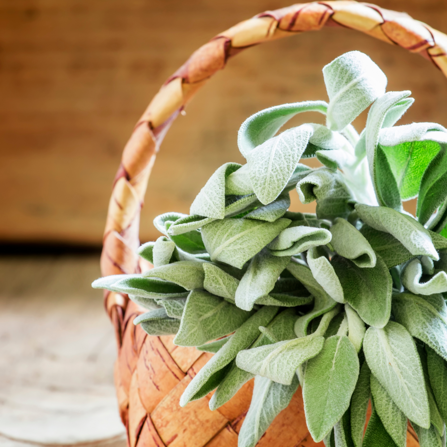 Sage + Thyme Scented Candle
